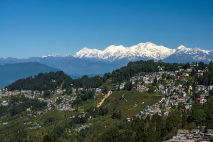 Queen of Hills - Darjeeling